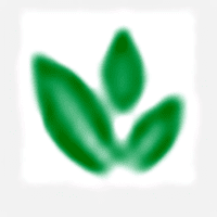 野草