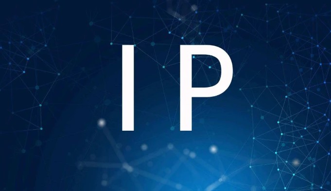 IP代理|动态与静态：解析住宅IPv4地址的关键差异