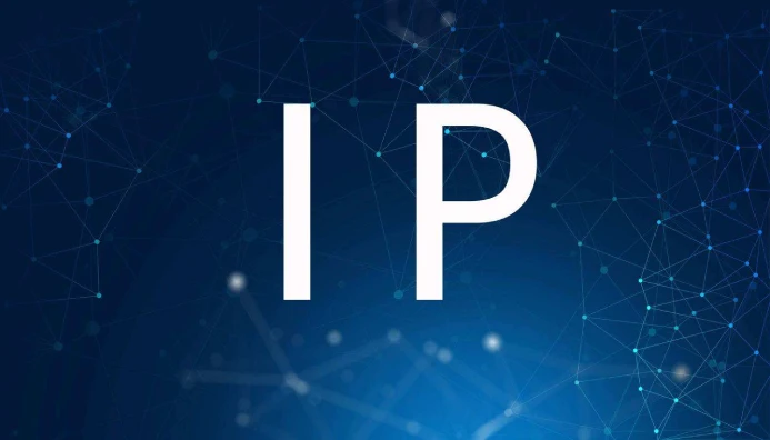 IP代理|动态与静态:解析住宅IPv4地址的关键差异